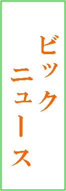 �e�L�X�g �{�b�N�X: �@�r�b�N
�@�@�j���[�X