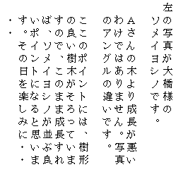 �e�L�X�g �{�b�N�X: ���̎ʐ^���勴�l��
�@�\���C���V�m�ł��B

�@�`����̖؂�萬��������
�@�킯�ł͂���܂���B�ʐ^
�@�̃A���O���̈Ⴂ�ł��B

�@�����̃|�C���g�ɂ́A���`
�@�̗ǂ����؂�������Ă���
�@���̂ŁA���̂܂ܐ�������
�@�΁A�\���C���V�m�����ԗ�
�@���|�C���g�ɂȂ�Ǝv����
�@���B���̓����y���݂ɁE�E
�@�E�E